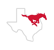 White Texas and Pony.png